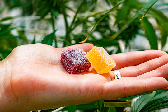 HIGH POTENCY THC GUMMIES